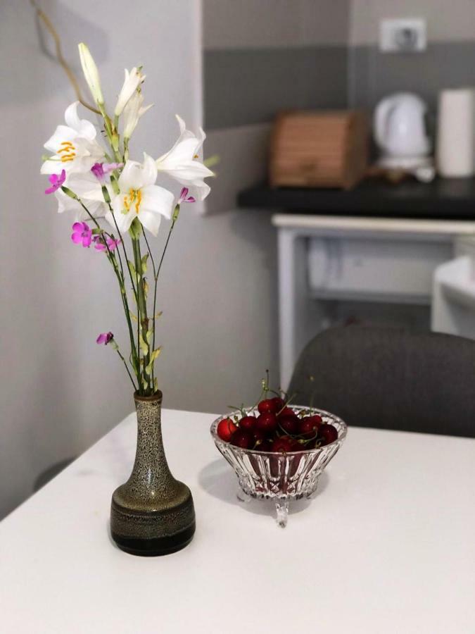 Monte B. Exclusive Apartment Ровинь Экстерьер фото
